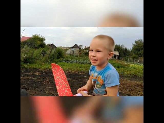 Собираем грибы, выбираем картошку, гонки на тачке, к нам приехали аттракционы