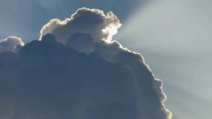 Экспедиция на океанской яхте Коралловые джунгли 3.0. Мальдивы