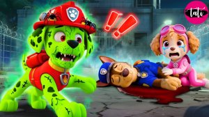 Щенячий патруль и Маршалл. Залипательное видео. Мультфильм для детей и малышей. Анимация 292