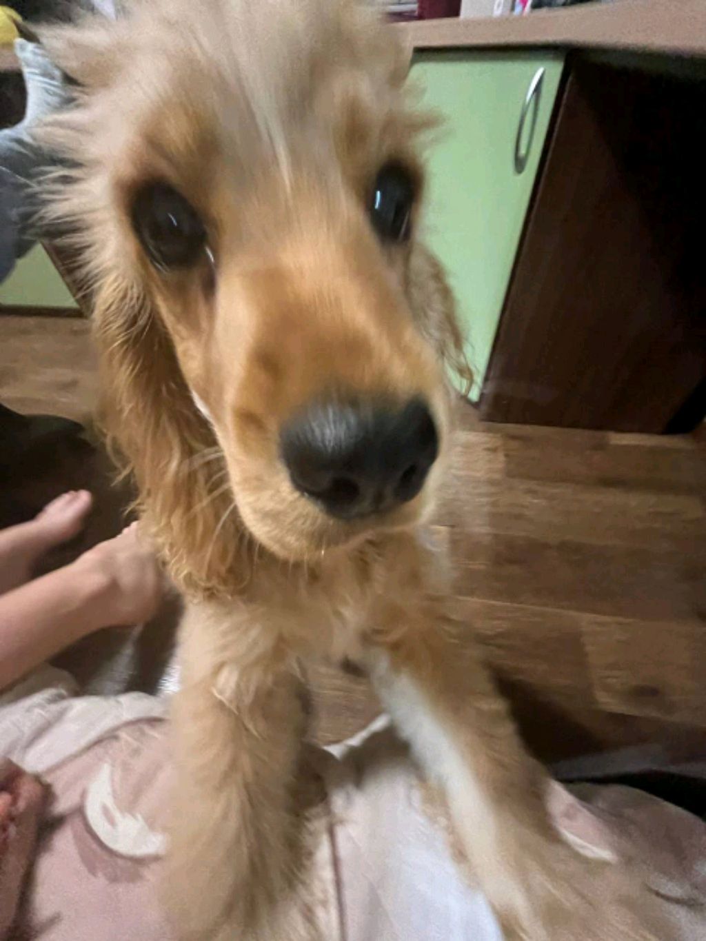 пппп смотреть онлайн