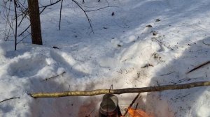 Горячий чай в холодном лесу.