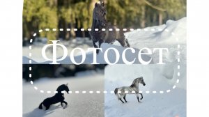 Фотосет /лошади шляйх/зима🥰