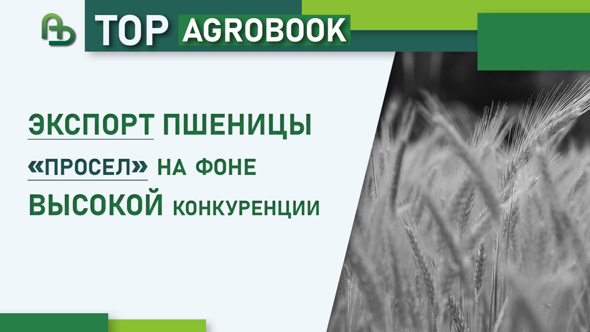 Экспорт пшеницы «просел» на фоне высокой конкуренции | TOP Agrobook: обзор аграрных новостей смотреть онлайн