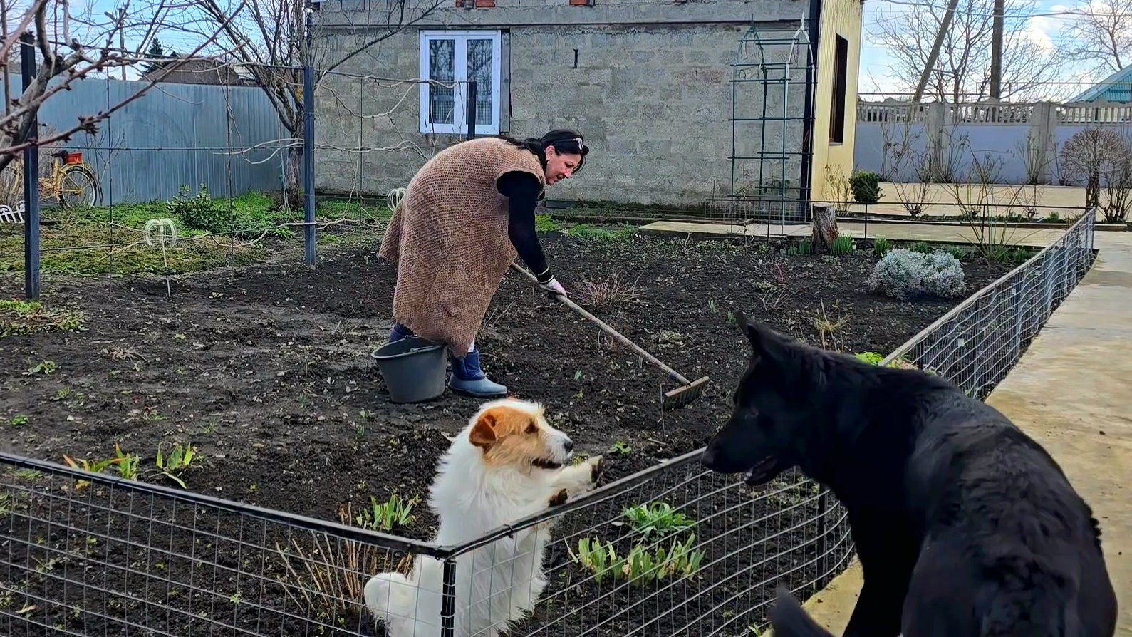 ✨️Мастер-Ломастер-Кладоискатель✨️Уборка сада✨️ смотреть онлайн