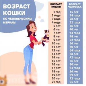 вопрос ответ