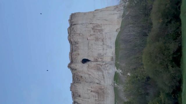 IMG_2005 смотреть онлайн