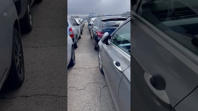 А мы на причале, контроль на всех этапах А мы на причале, контроль на всех этапах