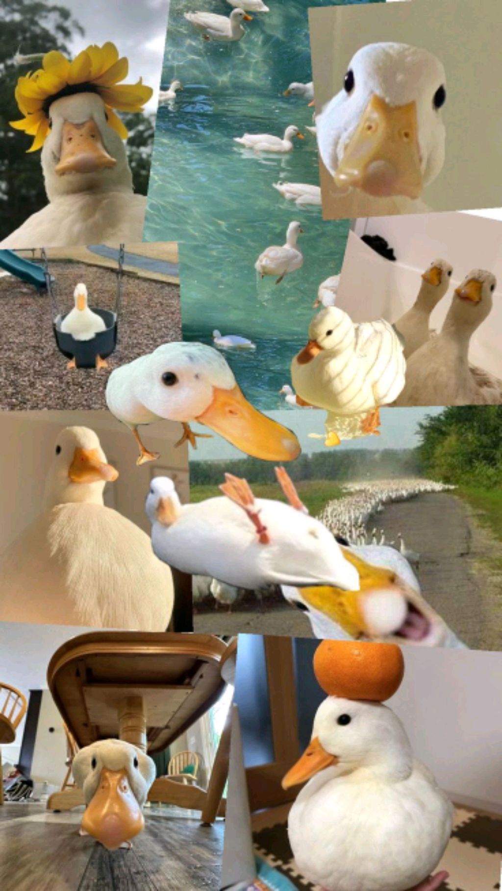 заходи на стрим. смотреть онлайн