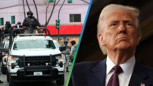 Минобороны Мексики о ситуации в стране: Мексика в огне, зато американский президент доволен