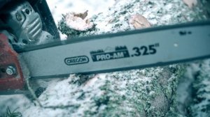 GEOS Талдомское лесничество фев2024