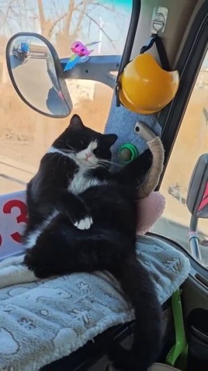 Главное держаться, даже если состояние оставляет желать лучшего