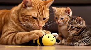 Котики - сборник [1,5 часа]