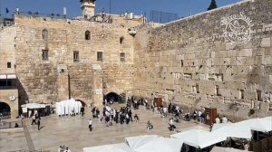 Они ждали 500 лет. И дождались