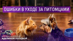 Ошибки в уходе за питомцами. Интервью с ветеринаром Аделиной Поповой