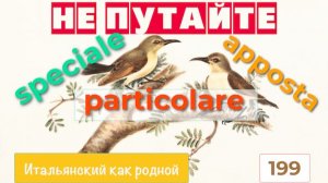 Как переводить на итальянский язык слово «особенный» – 199