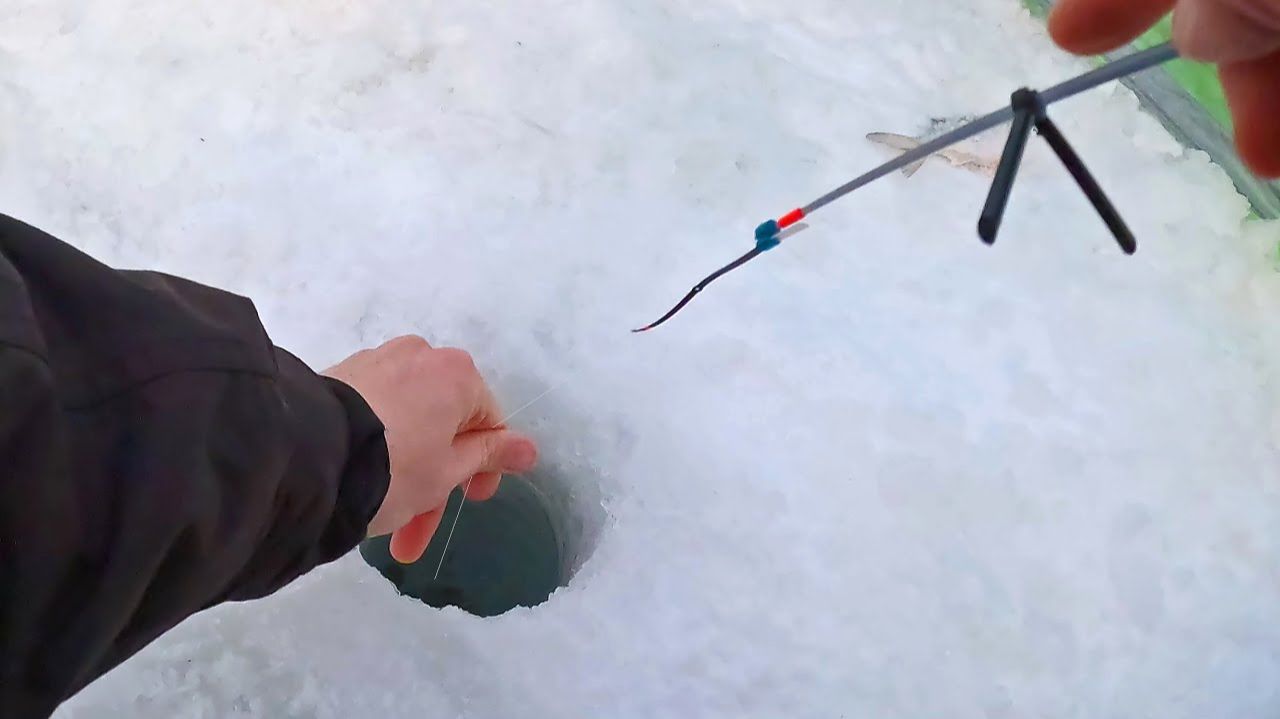 Эффективная ловля плотвы В ГЛУХОЗИМЬЕ! Рыбалка на мормышку СНОВА приносит рекорд! смотреть онлайн