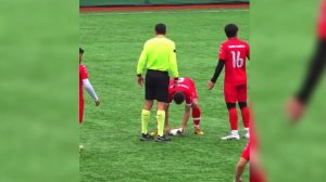 Футболисты реанимировали сбитую мячом чайку в Турции