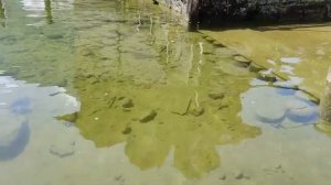 ГАЛЬШТАТ- красивая мелодия Альп Hallstatt Austria @Music-Word-2024