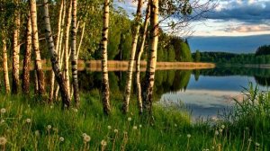 Алексей Соколов - Люблю тебя, моя Россия (2026)