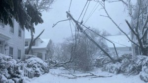 Более 600 тысяч домов в США остались без света из-за снежной бури