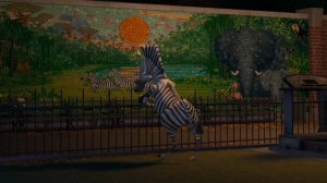 Мадагаскар, Мартин грустит, что живёт в зоопарке