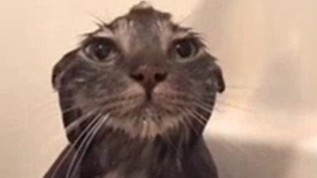 VID-20250915-WA0036.mp4 смотреть онлайн