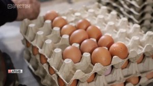 Минсельхоз объяснил рост цен на яйца увеличением издержек птицефабрик