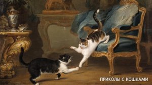😼 🐾 Кошачьи приключения: смех и уют в каждом кадре!