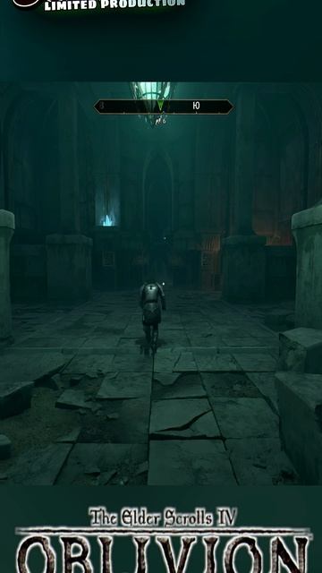 TES 4: Oblivion Remastered