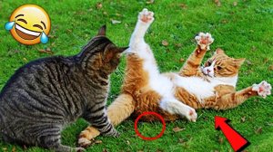 10 МИНУТ СМЕХА | ЛУЧШИЕ ПРИКОЛЫ С ЖИВОТНЫМИ | ПРО ЖИВОТНЫХ | СМЕШНЫЕ ЖИВОТНЫЕ