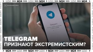 Мессенджер Telegram могут признать экстремистским в РФ - Москва 24