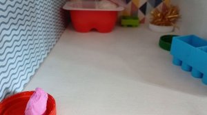 как проходит день у сквиш пёсика Барни 😃🐕