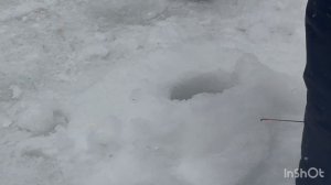 Спортзона.Поимки