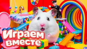 ХОМЯК ВЫБИРАЕТСЯ ИЗ СЕКРЕТНОЙ ХОМЯЧЕЙ ТЮРЬМЫ С ЛОВШКАМИ ! Помогаем выбраться из лабиринта !