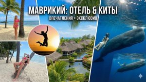 НАРУШИЛА ЗАКОН РАДИ МЕЧТЫ. ЦЕНА КУПАНИЯ / Как побороть страх и выйти за рамки правил