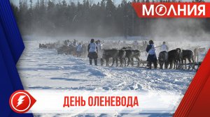 В Тарко-Сале прошли самые массовые на Ямале гонки на оленьих упряжках