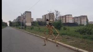 движении сиреноголоува