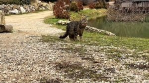 Красота Крыма, февраль 2026 года