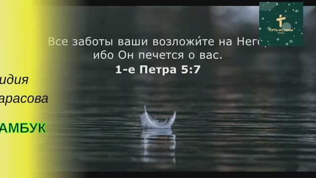 БАМБУК (стих) | Лидия Тарасова