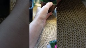 Какие растения из Фикс прайса посадила. Что советую купить.