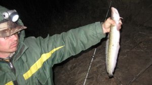 Раскрывая горизонты. Рыбалка налима на Оке (2013 г.)