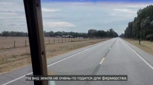 Ep.385 We Didn't Expect THIS Many Cows in Florida (Russian Subtitles)