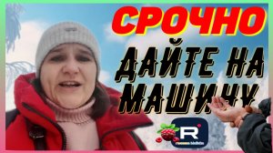 Бровченко _Опять Срочно нужна машина _Собирайте быстрее _Обзор _Семья Бровченко _Деревенский дневник