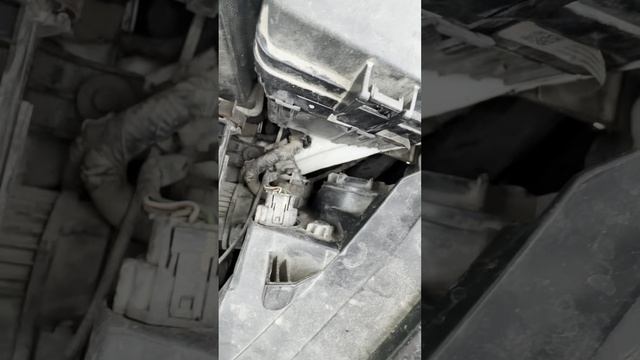 D0F47CA2-9C58-47F8-87D8-32F49D2367B3 смотреть онлайн