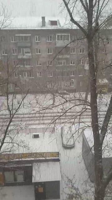 Зимний вид 30 октября 2023 года часть 2 смотреть онлайн