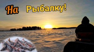 Окунь клевал отлично! зимняя рыбалка