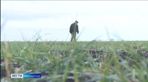 Специалисты Россельхозцентра Ингушетии приступили к фитосанитарному мониторингу посевов