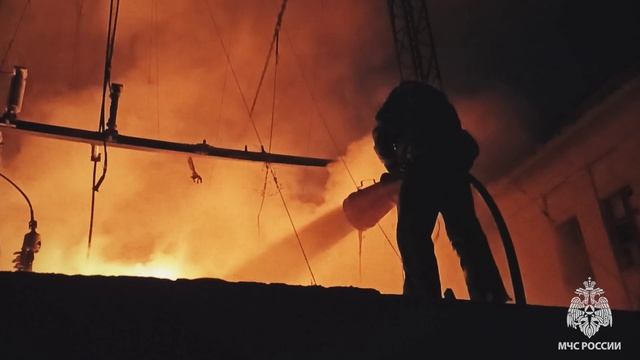 Риск ради жизни. Рассказываем о тех, для кого спасение и помощь стали делом жизни.