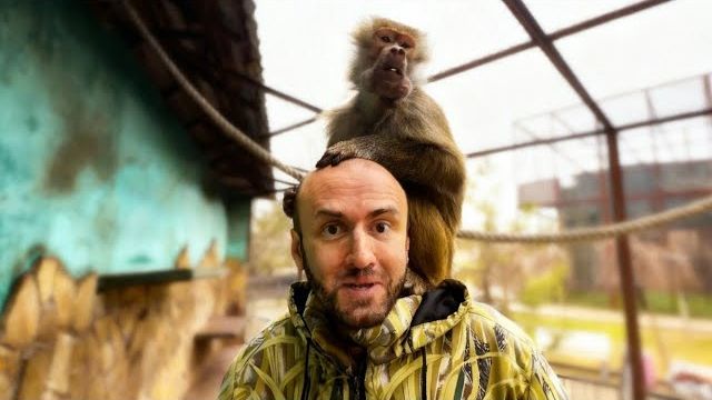 МЫ В ШОКЕ! Люська ПОЛЮБИЛА Дениса, а мне ЗАРЯДИЛА МИСКОЙ ПО ГОЛОВЕ😅 смотреть онлайн