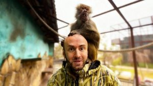 МЫ В ШОКЕ! Люська ПОЛЮБИЛА Дениса, а мне ЗАРЯДИЛА МИСКОЙ ПО ГОЛОВЕ😅